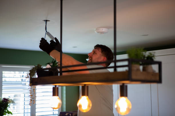 Best Electrical System Inspection  in St Francis, MN